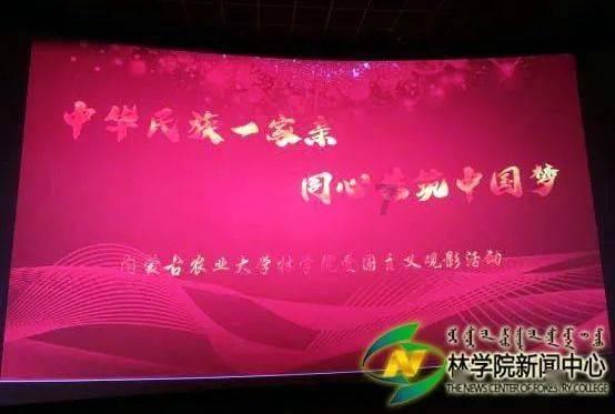 动物拼一拼